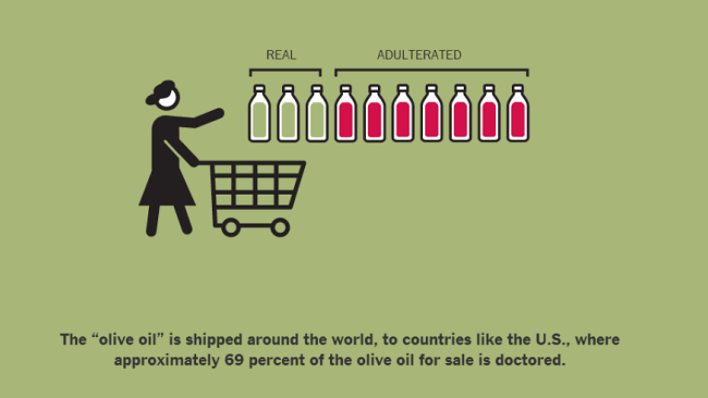 Il “Times” attacca l'olio italiano, la produzione Toscana risponde