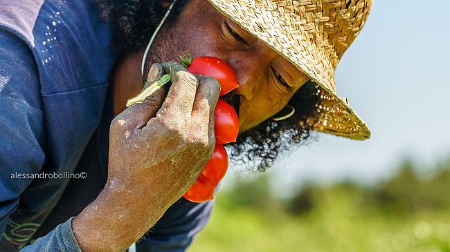 Lush Spring Prize 2021