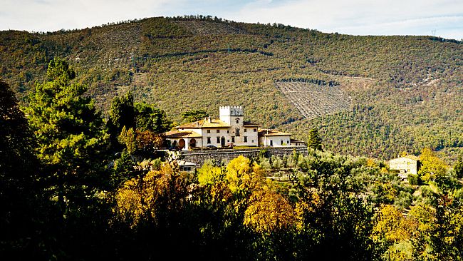 Olio: è toscano il miglior extravergine biologico Igp d'Italia