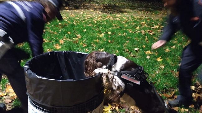 Cascine, tra cocaina marijuana ed hashish: ecco chi vigila sui parchi di Firenze