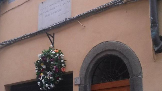 Pinocchio, sfruttato e maltrattato: un classico toscano