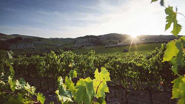 Toscana: un ventaglio di esperienze in un territorio unico