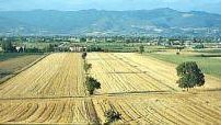 agriturismi-in-toscana-calo-del-5-nelle-prenotazioni