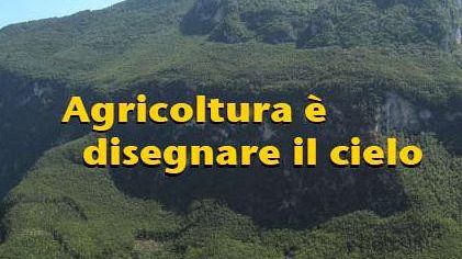 Libreria Editrice Fiorentina: la pubblicazione dell'Ecologist italiano