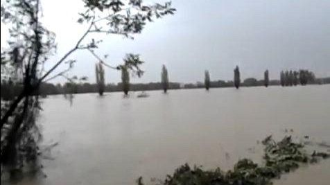 Fiumi di Toscana: ecco come stanno Firenze, Prato e Pistoia