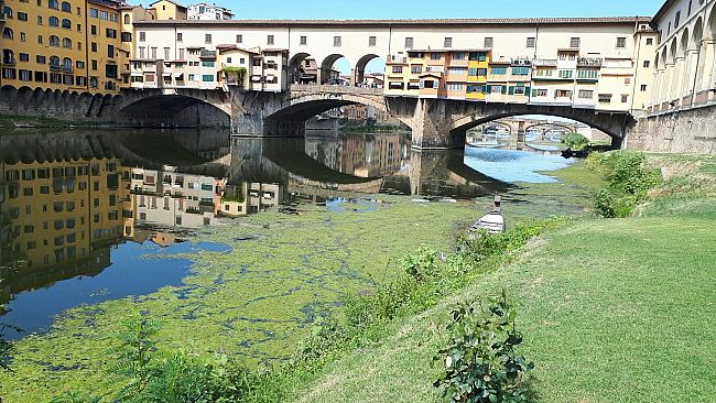 Siccità: gli alberi perdono le foglie, le alghe conquistano il fiume