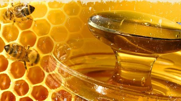 Produzione e commercializzazione del miele toscano