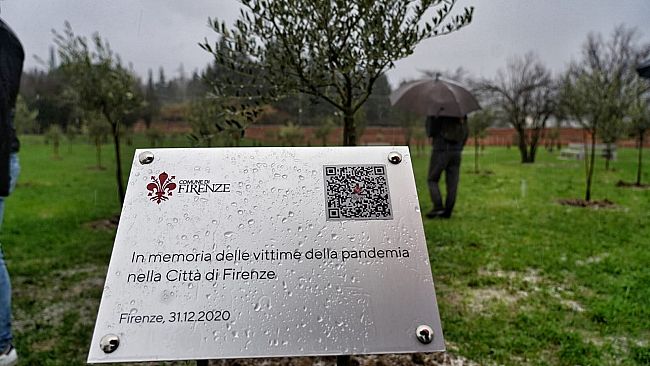 Firenze: il Memoriale del Covid è un bosco con cipressi e ulivi