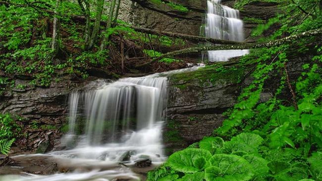 Silvicoltura, in Toscana bando da 2 milioni per avviare nuove imprese