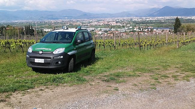 Orti e Serre controllati dai Carabinieri: analisi di laboratorio sui prodotti coltivati