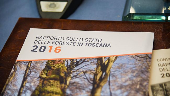 Rapporto sulle foreste: in un volume lo stato del patrimonio boschivo toscano