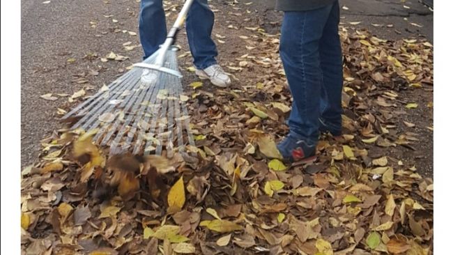 Foglie in città, il periodo del 'pieno' sulle strade