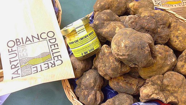 Tartufo delle Crete e Brunello suggellano la fusione tra Montalcino e San Giovanni d’Asso