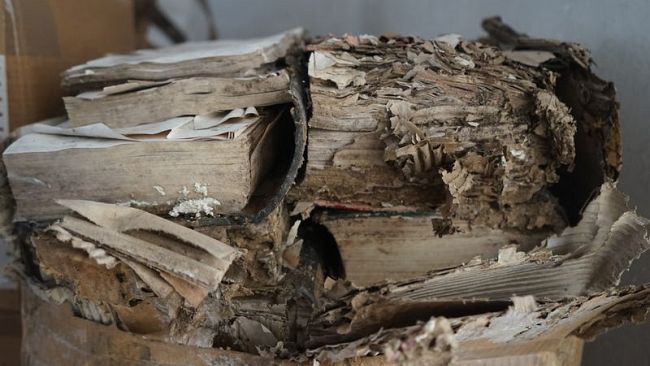 tornano-a-lucca-sanificati-i-libri-della-biblioteca-giordano