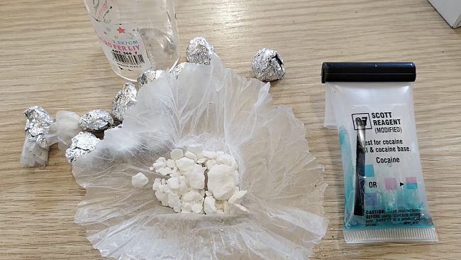 Droga nascosta tra l'alloro scovata da Sirio