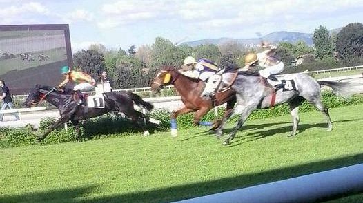 Ippodromi toscani, quale futuro? Mozione in Regione