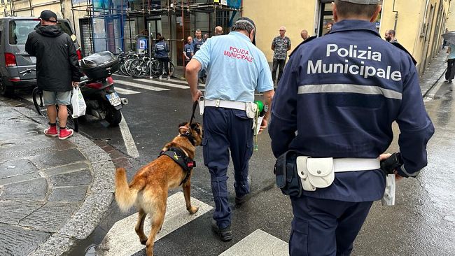 Via Palazzolo nel mirino della Polizia municipale