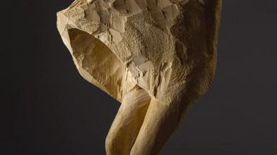 Narrazioni temporali