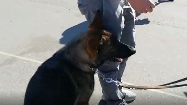 Droga, 5 denunce e 149 segnalazioni all'Autodromo del Mugello