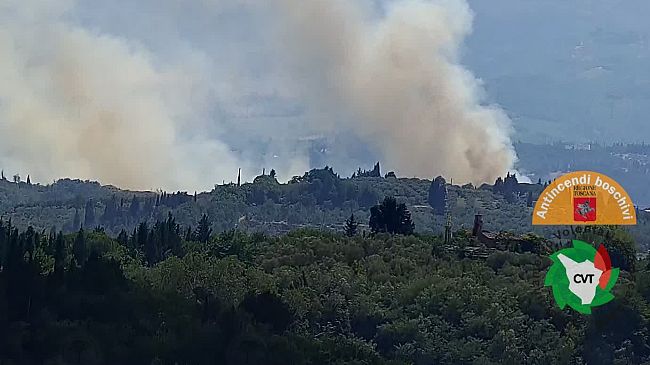 Incendio nei boschi di Certaldo 