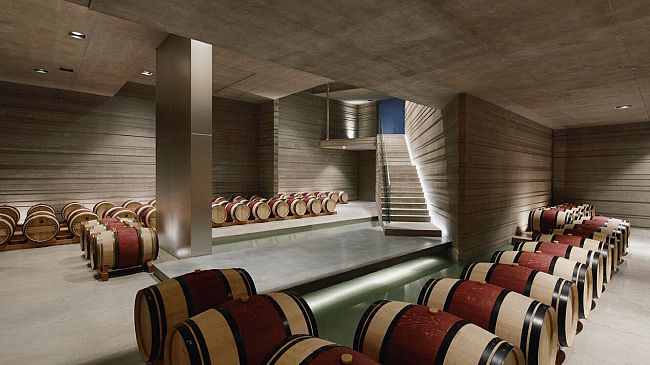 Una cantina nuova a Bolgheri