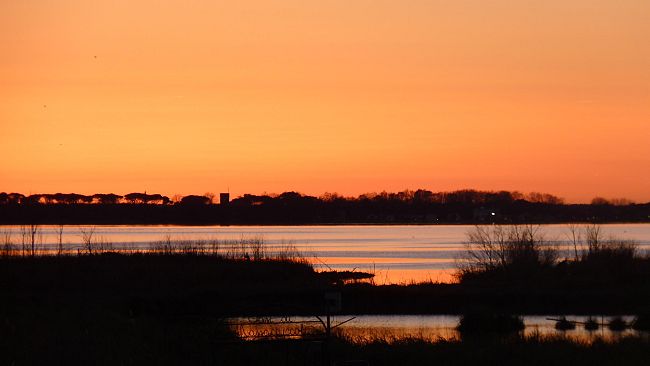 WWF: domani la Giornata delle Oasi