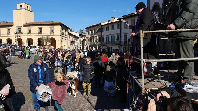 Benedizione degli animali per la festa di Sant'Antonio Abate