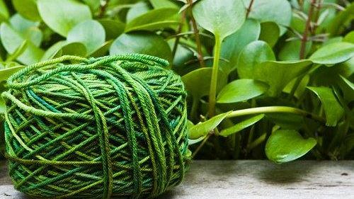 I filati toscani diventano Social