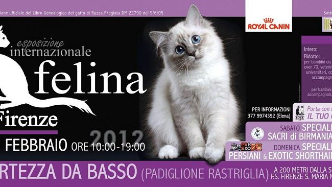 Alla Fortezza da Basso la Mostra Internazionale Felina