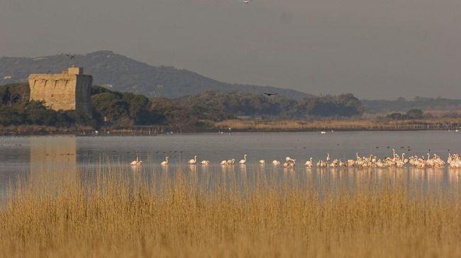 Giornata all’Oasi WWF: grande successo nonostante il maltempo al Lago di Burano
