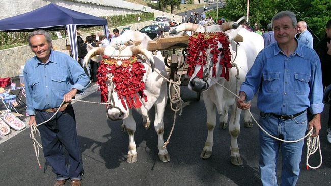 Vaiano: a Le Fornaci domenica 24 maggio torna la Festa della Fienagione e della Spolveratura