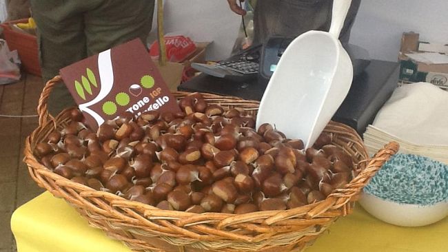 Da domenica al via le feste dei marroni
