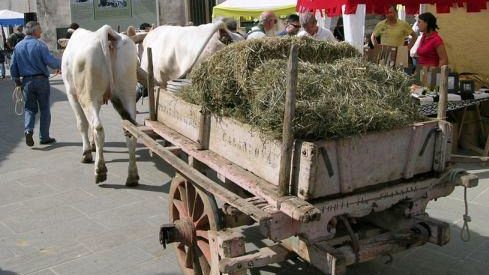 XV Festa della Fienagione e della Spolveratura