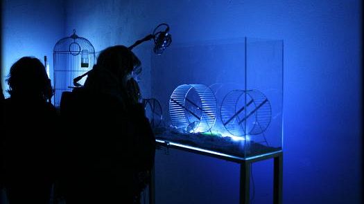 Festival della Creatività, appuntamento al 2011