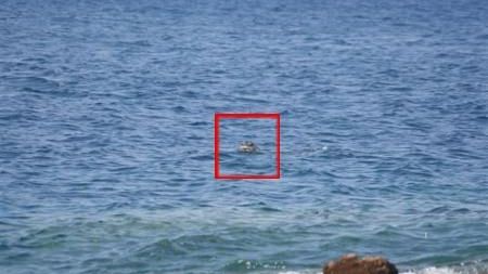 Costa: mare in buono stato, valori critici in diminuzione