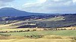 La Qualità rurale: Agriturismo e prodotto a marchio