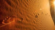 Impronta Ecologica e politiche ambientali europee: a Siena conferenza pubblica del Footprint Forum 2006