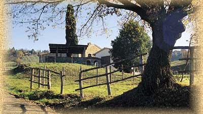 Forteto, ora si teme per la tenuta occupazionale e produttiva della Coop