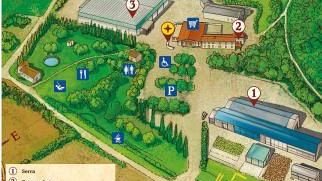 Forteto, le controdeduzioni per evitare il commissariamento