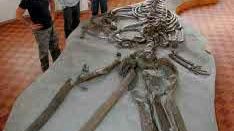 La balena di Castelfiorentino