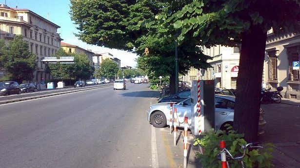 Lo scempio degli alberi di viale Lavagnini con lo ''sparamulte''