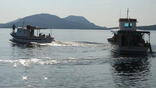 Piange anche il settore della pesca e dell’acquacoltura in Toscana
