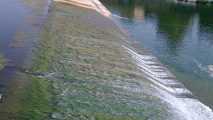 Multati campeggiatori in Pescaia Santa Rosa