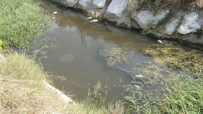 Emergenza siccità in Toscana: l'acqua è un problema