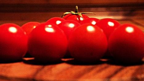 Avviso Pubblico: oggi videoconferenza con Caselli e Omizzolo