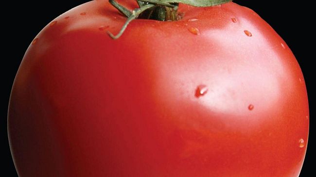 In libreria: 18° titolo per i Quaderni del mangiar sano - Vallecchi