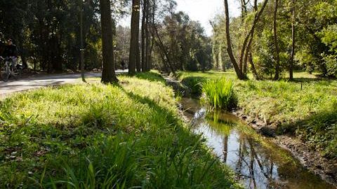 Camp Darby: manifestazione all’ingresso della base