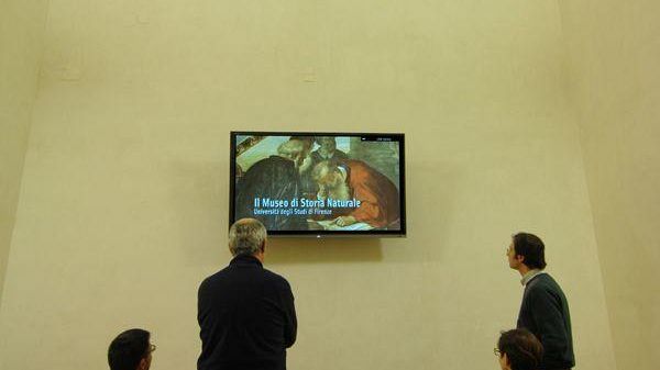 Museo di Storia Naturale: la Specola si veste di nuovo