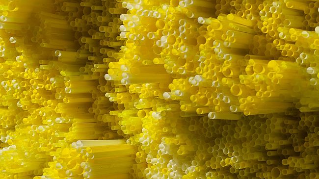 Seducenti Plastic Shapes