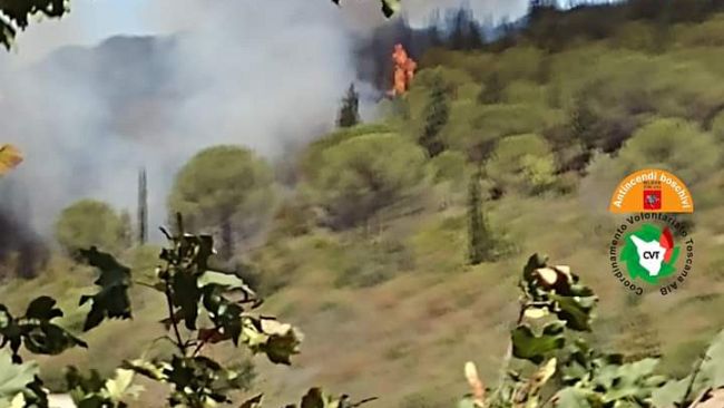 Greve in Chianti, incendio tra olivi e bosco